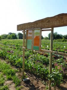 Selbsterntegarten