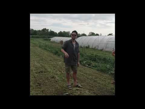 YouTube-Video-Thumbnail